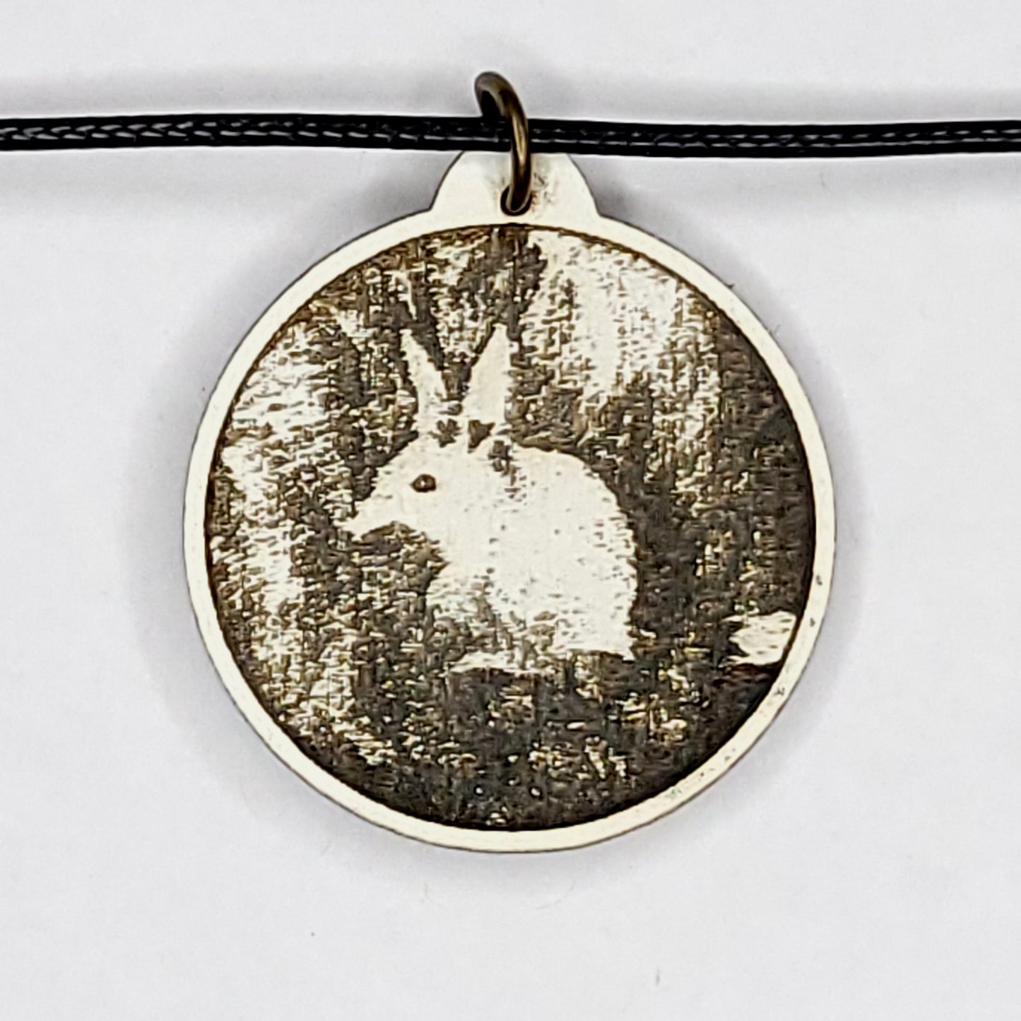 Bilby Listening