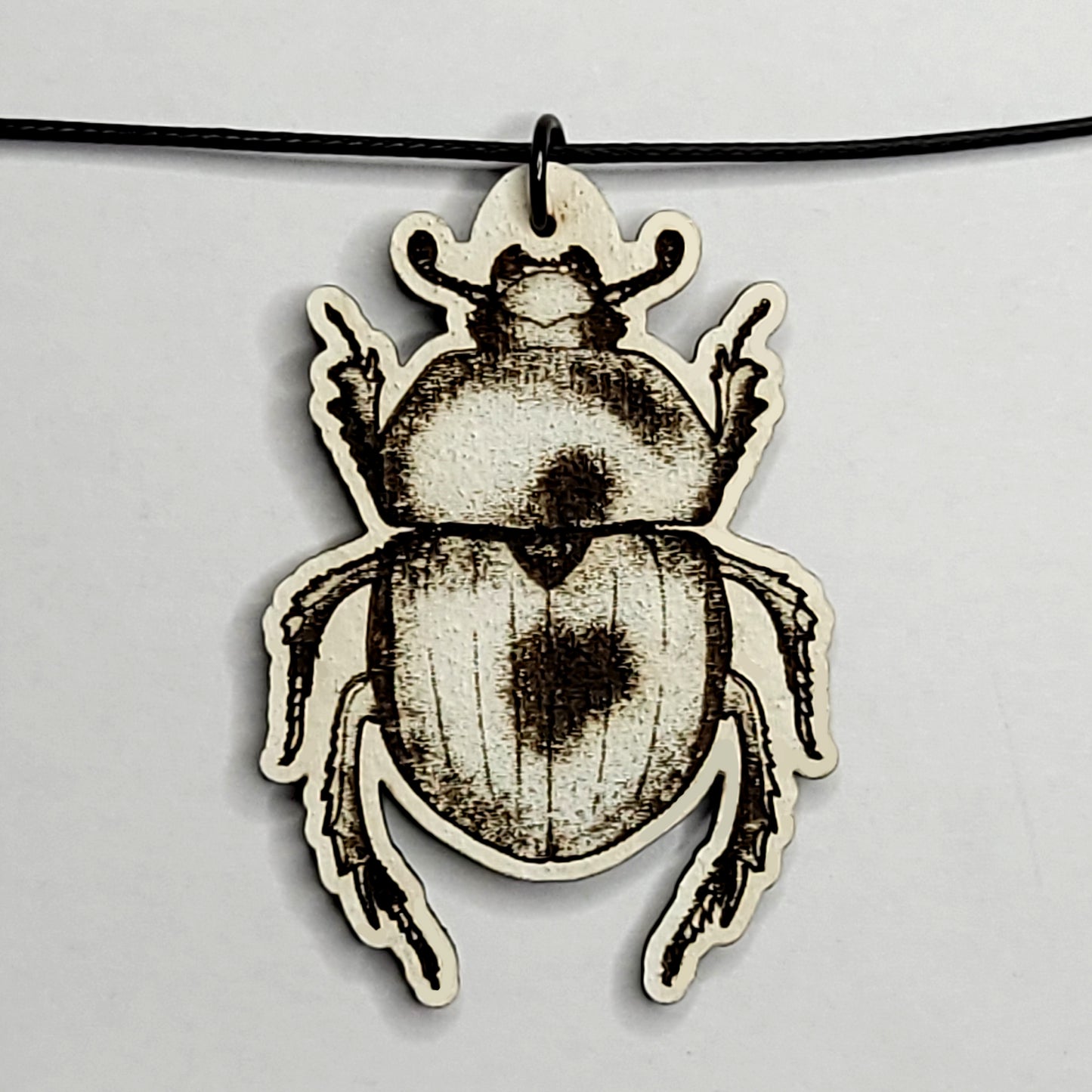 Beetle at Bay