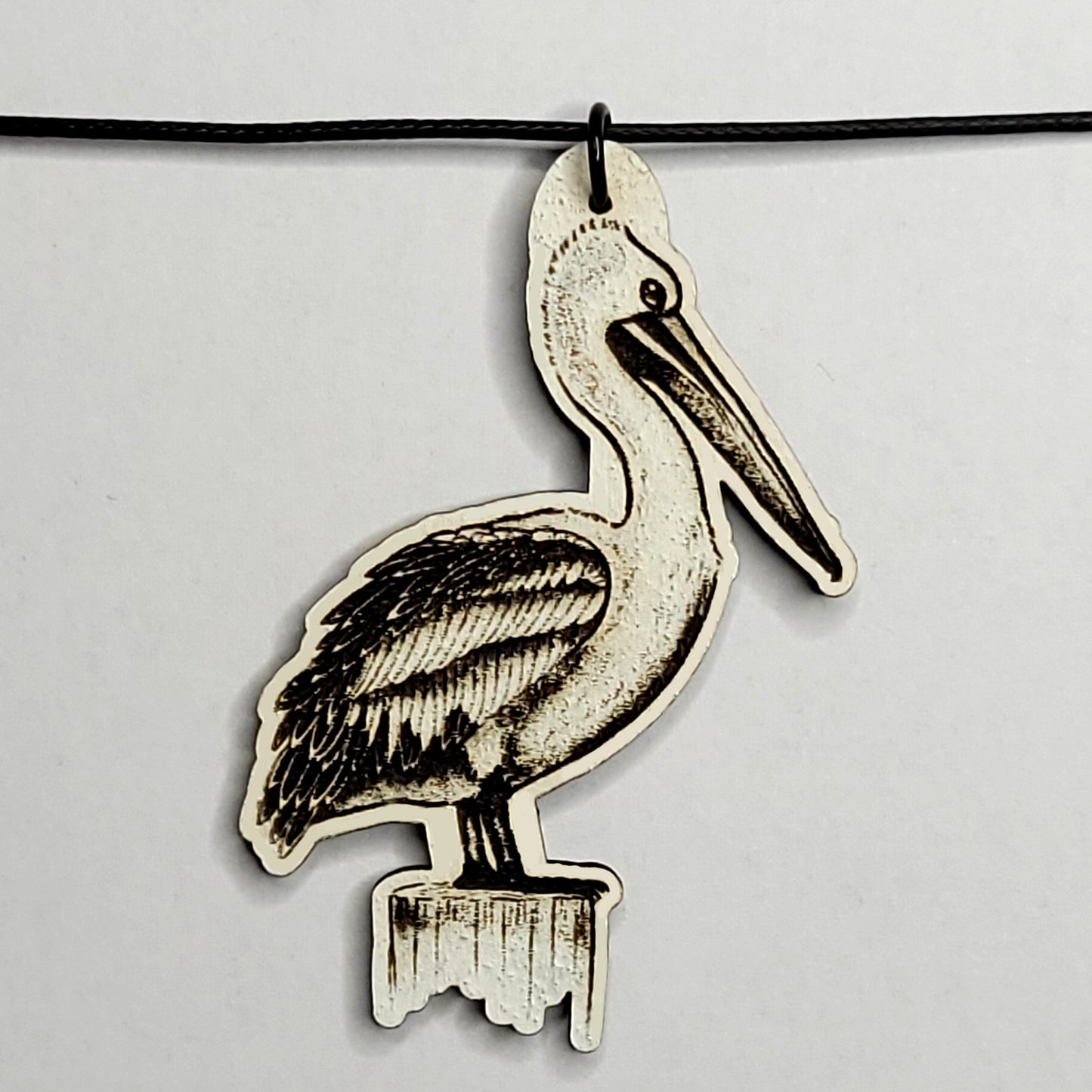 Perched Pelican
