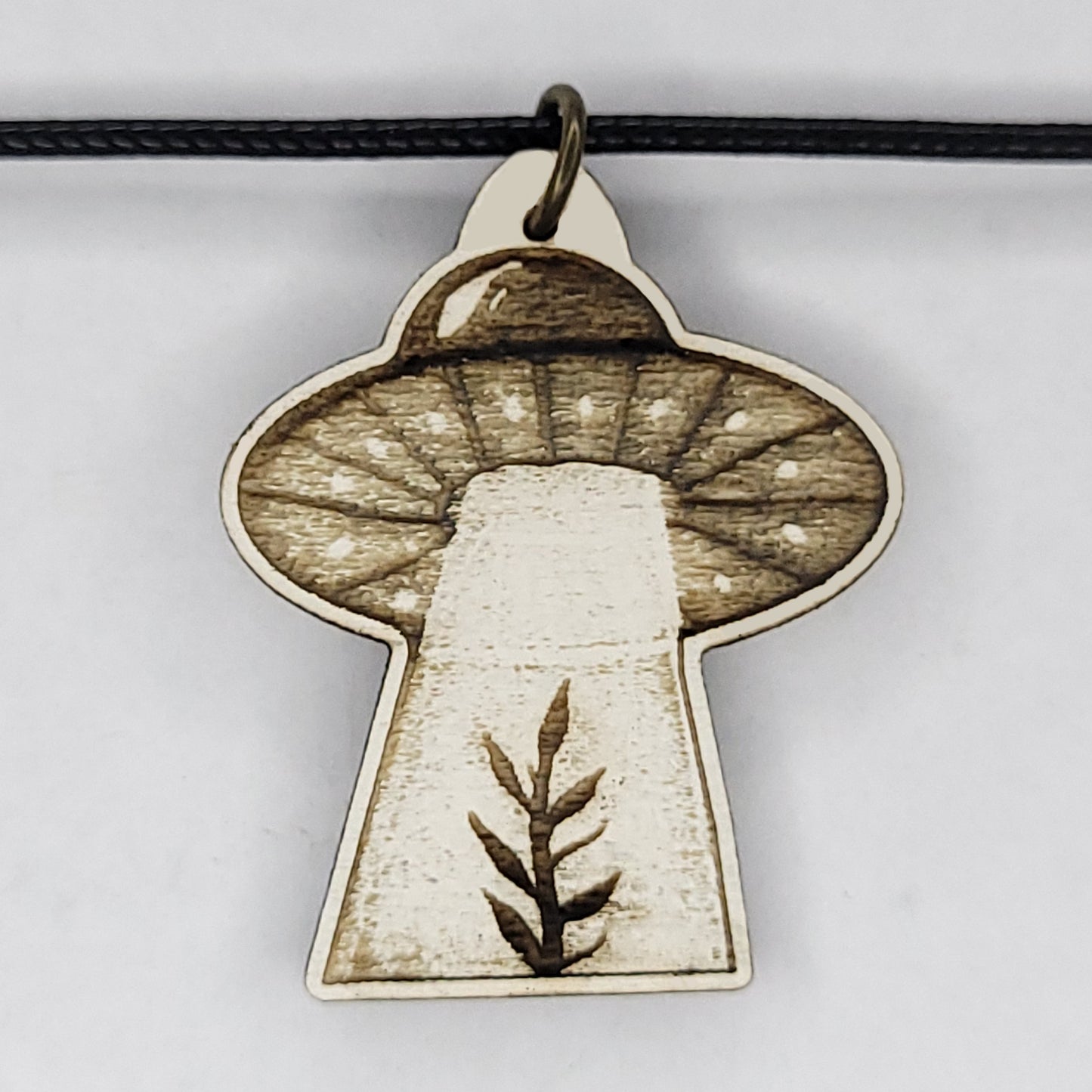 Seed Saving Saucer