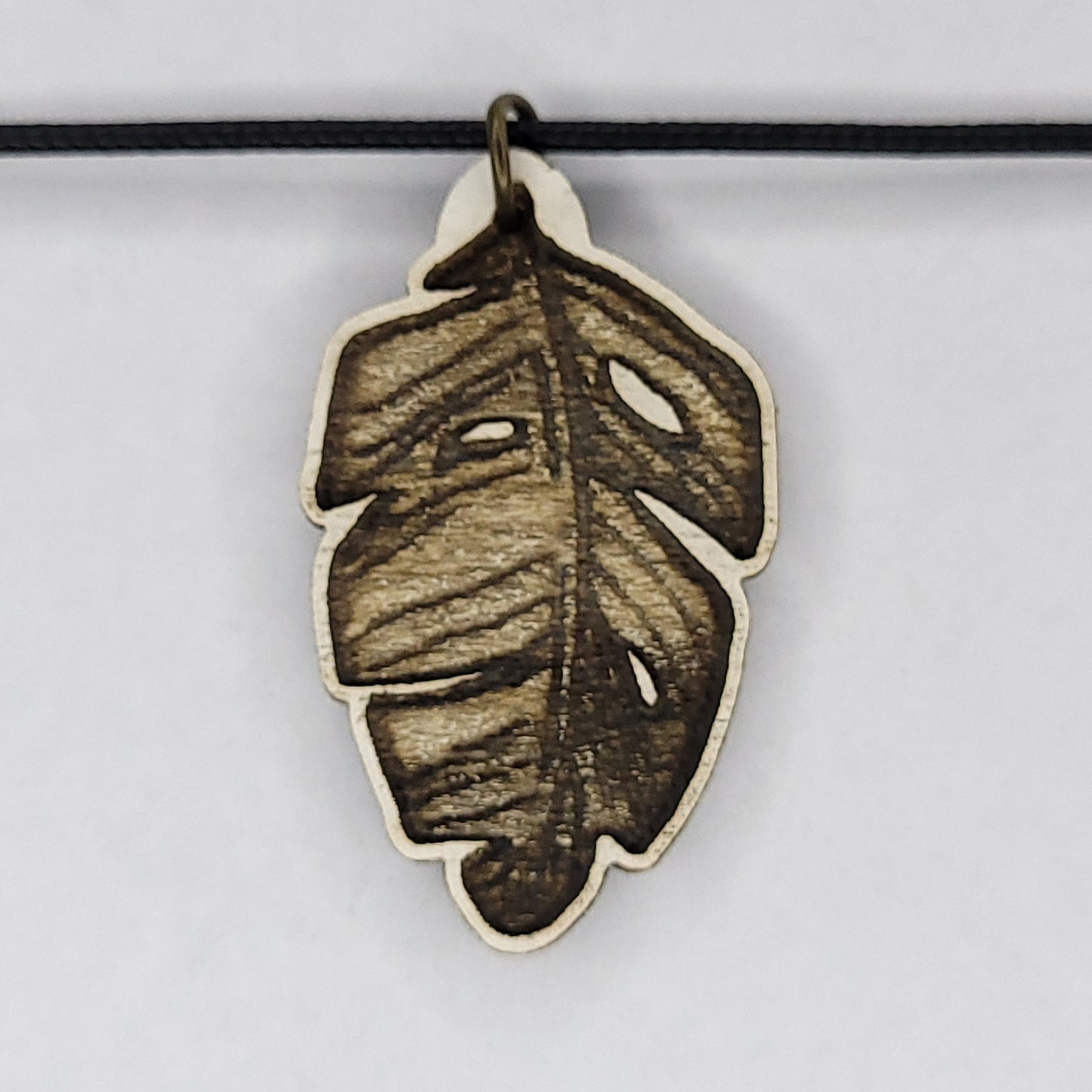 Monstera Leaf