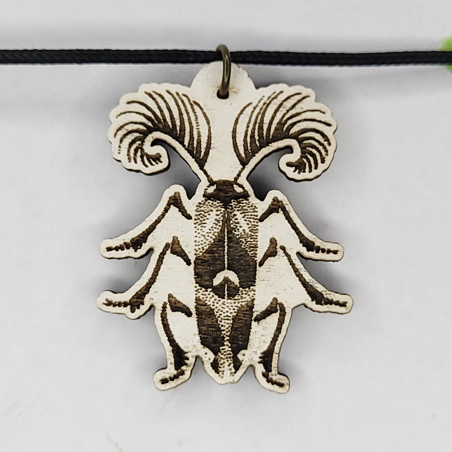 Pencil Beetle