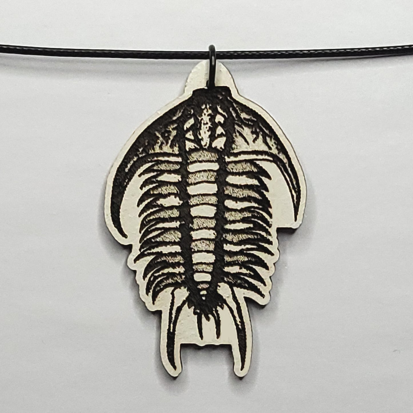 Terrrific Trilobite